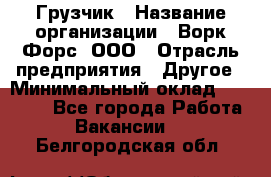 Грузчик › Название организации ­ Ворк Форс, ООО › Отрасль предприятия ­ Другое › Минимальный оклад ­ 24 000 - Все города Работа » Вакансии   . Белгородская обл.